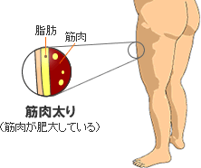 スポーツをしている人に多い筋肉太り ダイエット方をまとめてみました Kutie